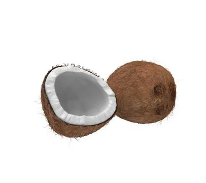 Coconuts Isolated Stock-Illustration