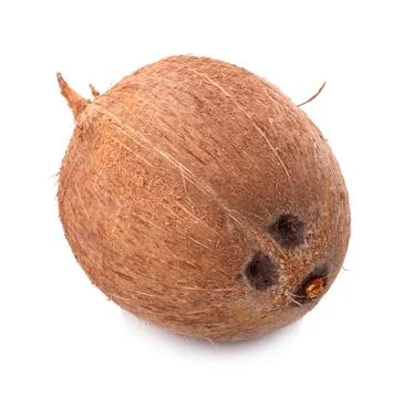 Coconuts isolated on white background with clipping path Foto stock