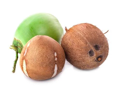 Coconuts isolated on white background with clipping path Stock-Fotos