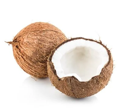 Coconuts isolated on white background Stock Photos