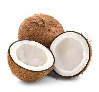 Coconuts isolated on white background Stock Photos