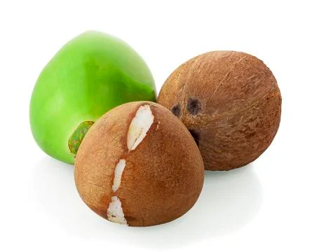 Coconuts isolated on the white background Stock Photos