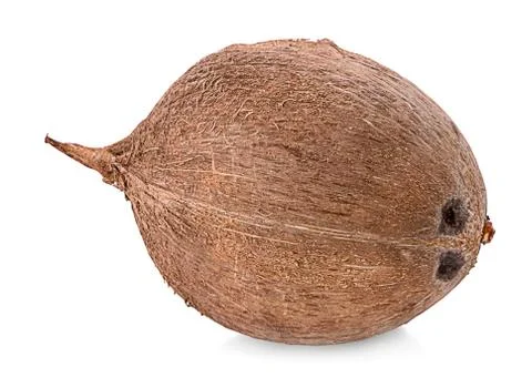 Coconuts isolated on the white background Stock Photos