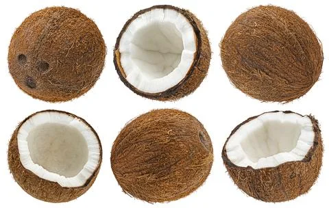 Coconuts isolated on white background Stock Photos