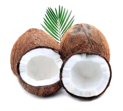 Coconuts with leaves. Stock Photos