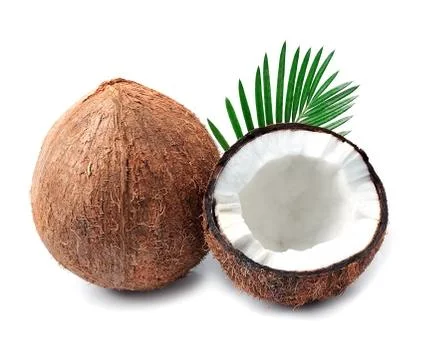 Coconuts with leaves. Foto stock