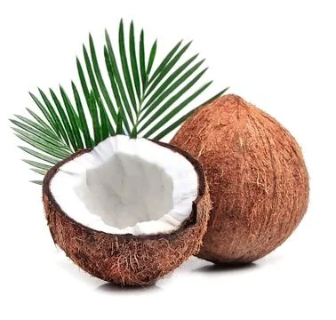 Coconuts with leaves. Foto stock