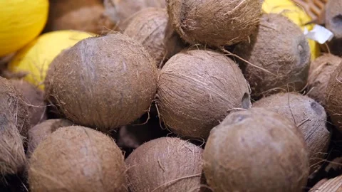Coconuts lying on top of each other. Lots of coconuts. Stock Footage 313271259