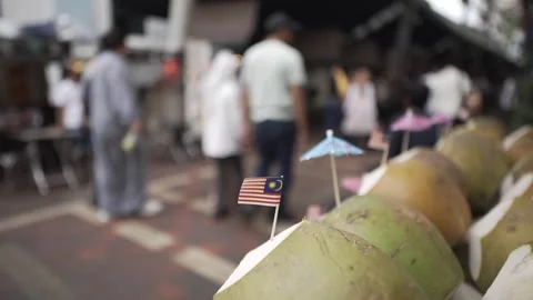 Coconuts Malaysia Flag Stockbeeldmateriaal 344331106