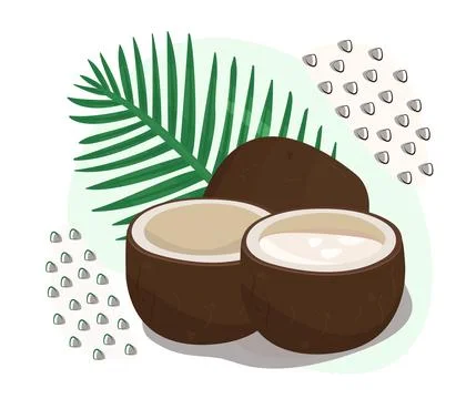 Coconuts with palm leaf Stock Illustration