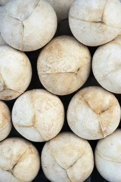 Coconuts pattern. Stock-Fotos