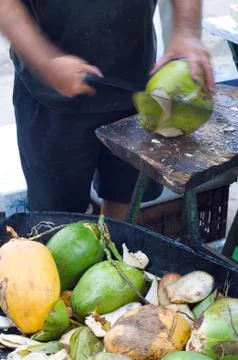 Coconuts Fotos de archivo