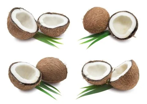 Coconuts Stock Photos