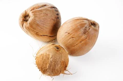 Coconuts Stock Photos