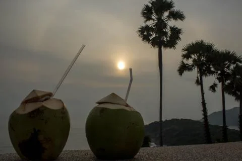 Coconuts Stock Photos