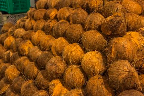 Coconuts piled Stock Photos