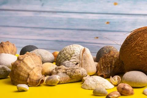 Coconuts, rocks and shells on a blue wooden background and a yellow backgroun Fotos de archivo