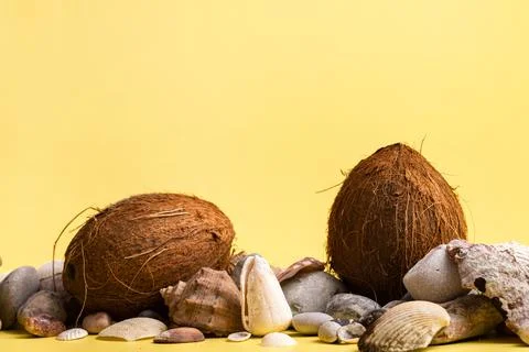 Coconuts, rocks and shells on a yellow background .Marine theme Stock Photos