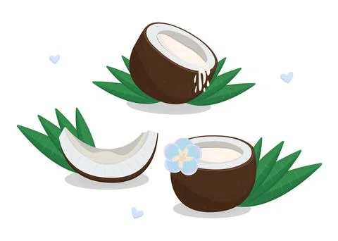 Coconuts set, three nuts Stock Illustration