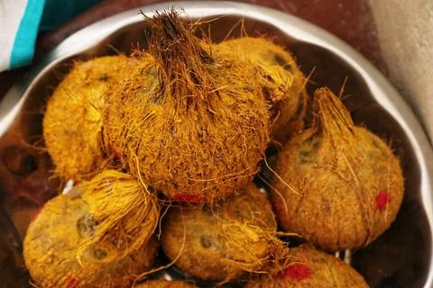 Coconuts Unveiled from Tree to Table Stock Photos