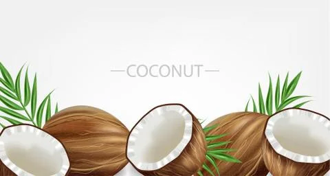Coconuts Vector realistic. template tropic exotic background. Fruit yogurt or Stock Illustration