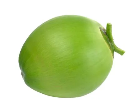 Coconuts on white background Stock Photos