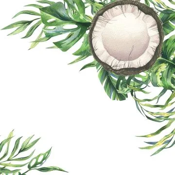 Coconuts whole, halves and pieces with bright, green, tropical palm leaves. Hand Stock Illustration