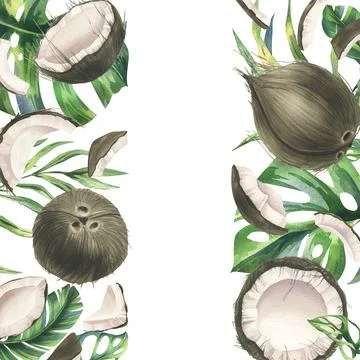 Coconuts whole, halves and pieces with bright, green, tropical palm leaves. Hand Ilustración de archivo