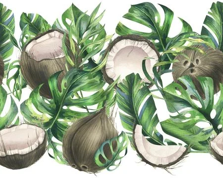 Coconuts whole, halves and pieces with bright, green, tropical palm leaves. Hand Stock Illustration
