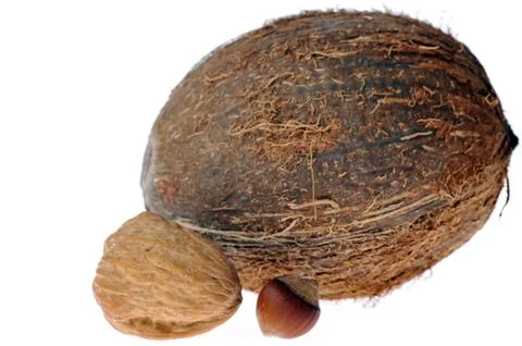 Coconut,walnut, hazeknut Stock Photos