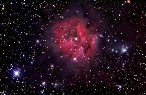 The Cocoon Nebula Stock Photos