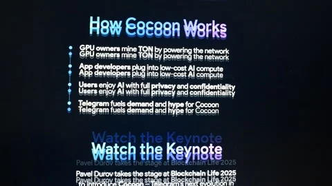 Cocoon platform website displayed on a computer screen Stock Footage 322071537