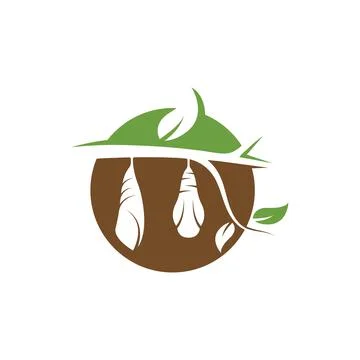 Cocoon vector illustrtion design Stock Illustration