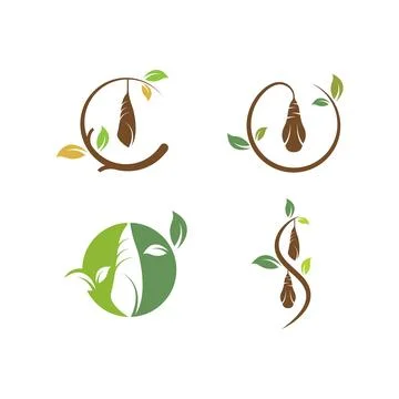 Cocoon vector illustrtion design Stock Illustration