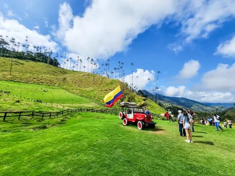 Cocora valley exploring wax palms and colorful jeep 스톡 사진