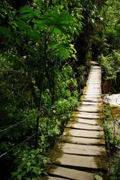 Cocora valley Foto stock