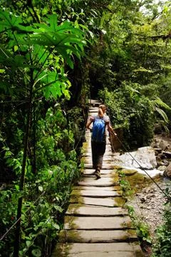Cocora valley Stock Photos