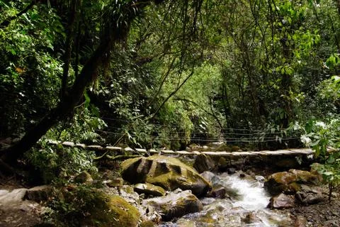 Cocora valley Stock Photos