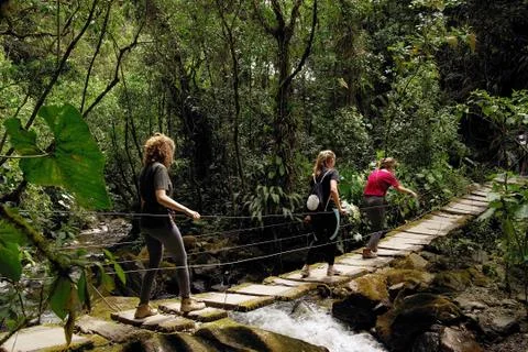 Cocora valley Stock Photos
