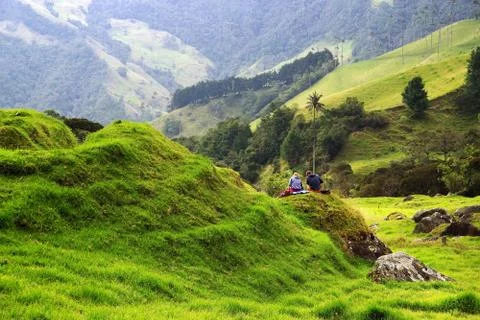 Cocora valley Stock Photos