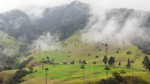 Cocora Valley - Valle de Cocora Colombia 4K Video stock 149374492