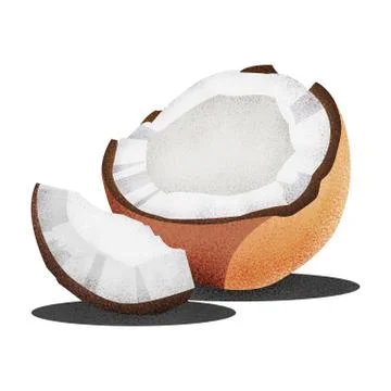 Cocos white. Full depth of field. Illustrazione stock