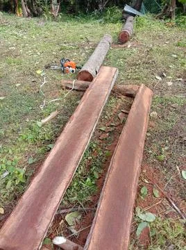 A cocounut tree trunk being ripped into half using a chainsaw in a homestad Stock Photos