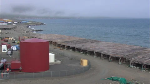 Cod Drying On Racks Stock Footage 65387077