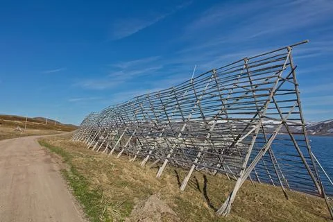 Cod drying racks. 스톡 사진