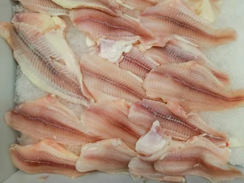 Cod fillet on ice in the store top view Stock Photos