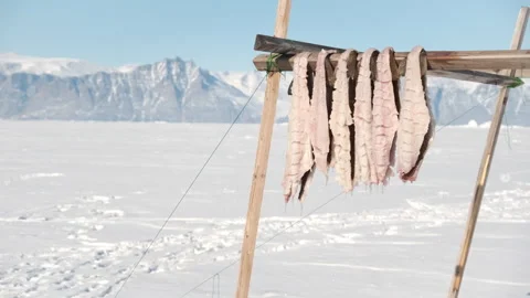 Cod Fillets Drying on a Wood Rack on Sea Ice in Uummannaq, Greenland. 스톡 동영상 281283867