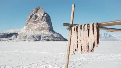 Cod Fillets Drying on a Wood Rack on Sea Ice in Uummannaq, Greenland. 스톡 동영상 281286350