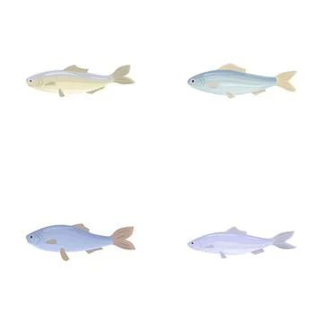 Cod fish icons set cartoon vector. Fresh raw edible cartoon fish Stock Illustration