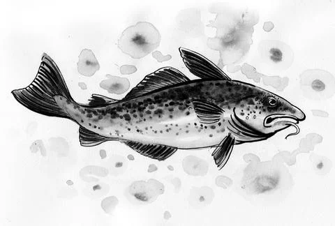 Cod fish Illustrazione stock